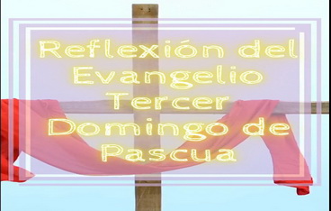 Reflexión Evangelio domingo 23 de abril