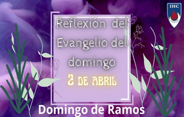 Reflexión Evangelio domingo 02 abril