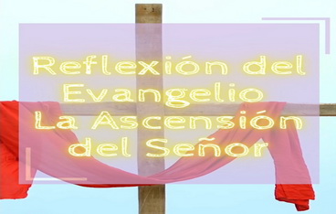 Reflexión Evangelio domingo 21 mayo