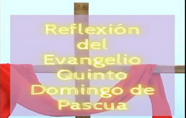 Reflexión Evangelio domingo 07 mayo