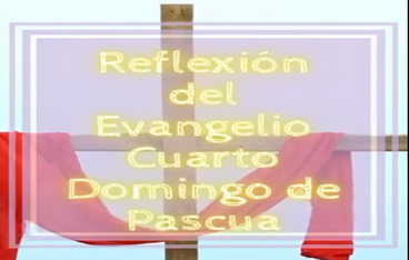 Reflexión Evangelio domingo 30 abril
