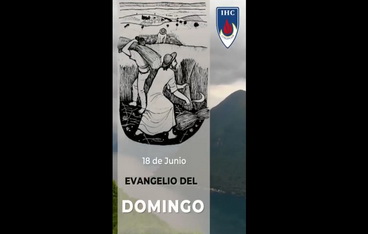 Reflexión Evangelio domingo 18 junio