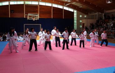 Examen de ACLE Taekwondo