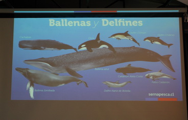 Charla Sernapesca a estudiantes de nuestro colegio
