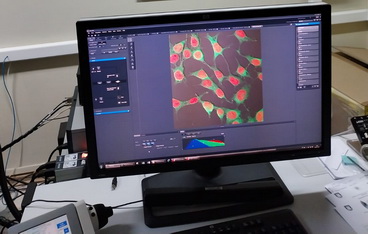 Salida Pedagógica electivo Biológico 2024 al Centro de Microscopia avanzada CMA-BíoBío Universidad de Concepción