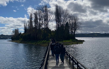 Ihc en Chiloé, reporte N°15